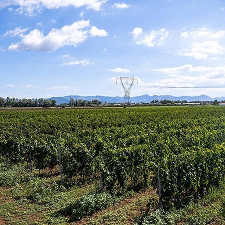 Agriturismo L'Ovile Borgo San Michele  Eksteriør bilde